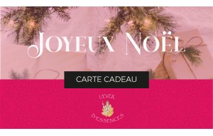 
			                        			Joyeux noël